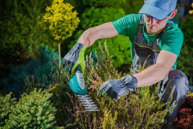 landscaping services Bayou L'Ourse